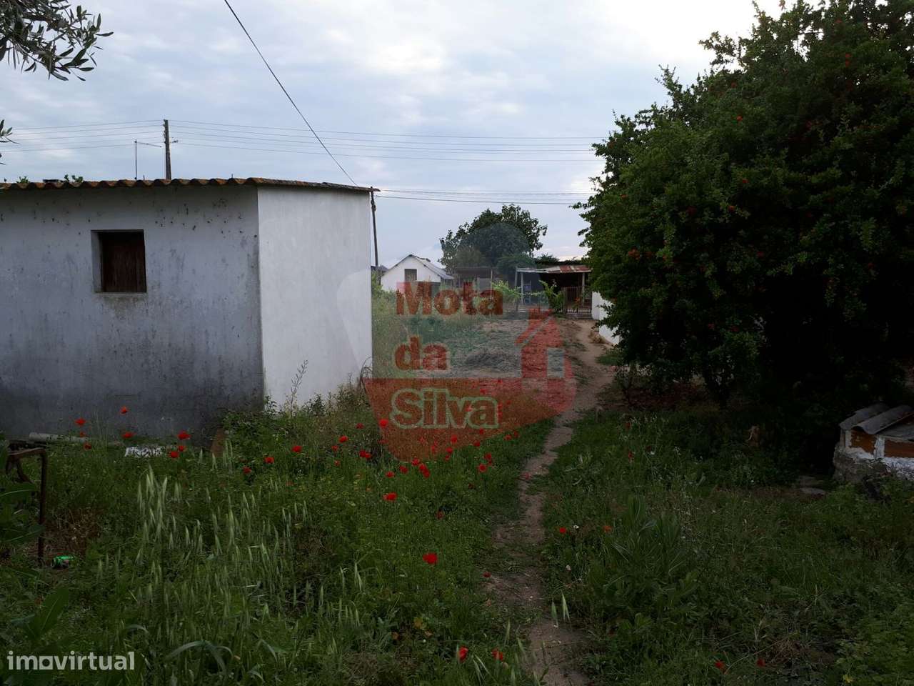 Terreno Urbano com Anexo no Biscainho | Coruche - Grande imagem: 4/12