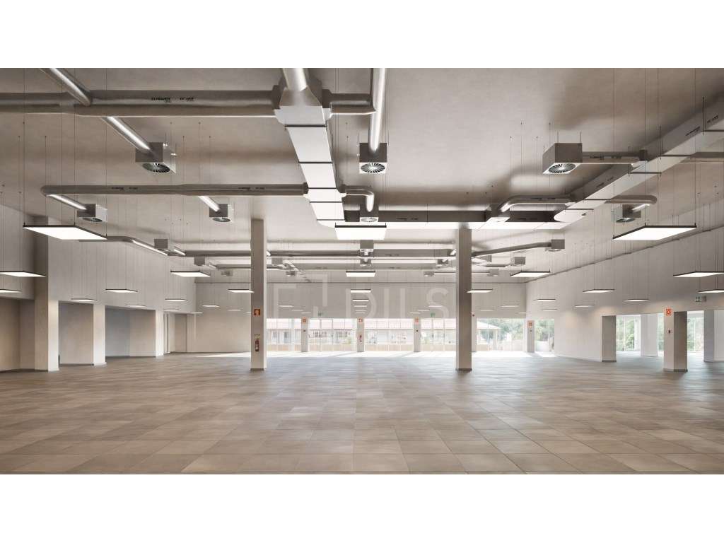 Escritório para arrendamento - Edifício Horizonte - Grande imagem: 5/15