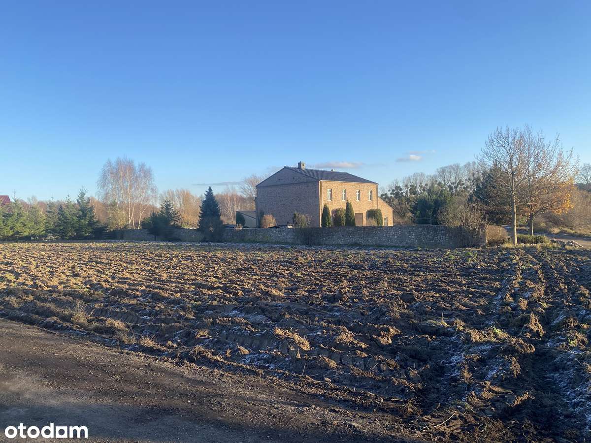 Działka 2500 m² blisko lasu i jeziora - Pełny obrazek: 5/9