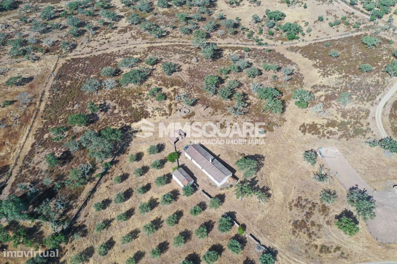 Monte do Chaparral — Ourique-5