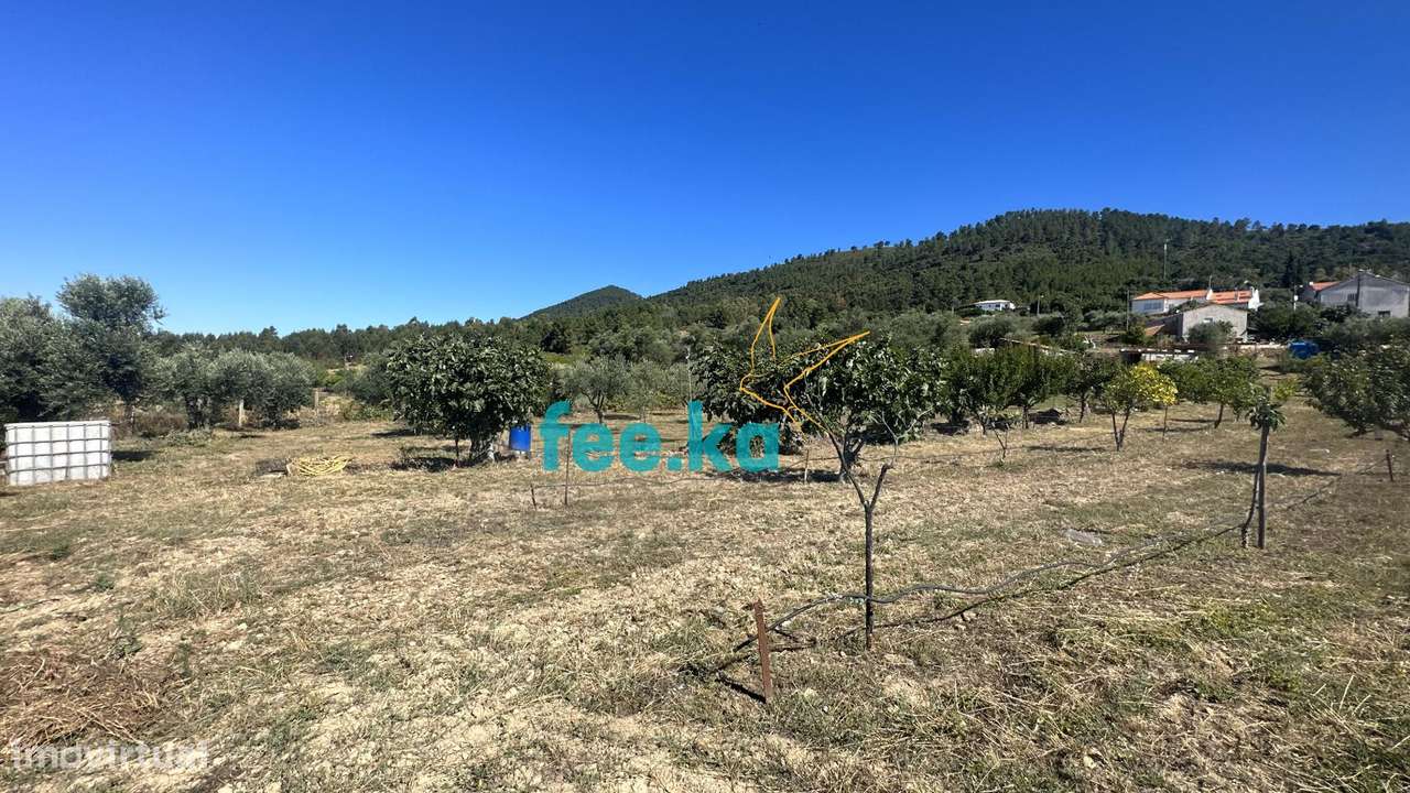 Quintinha em Monfortinho-30