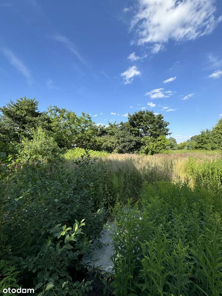 Działka Inwestycyjna Stary Imielin, Ursynów, Obok Jeziorko imielińskie - Pełny obrazek: 4/9