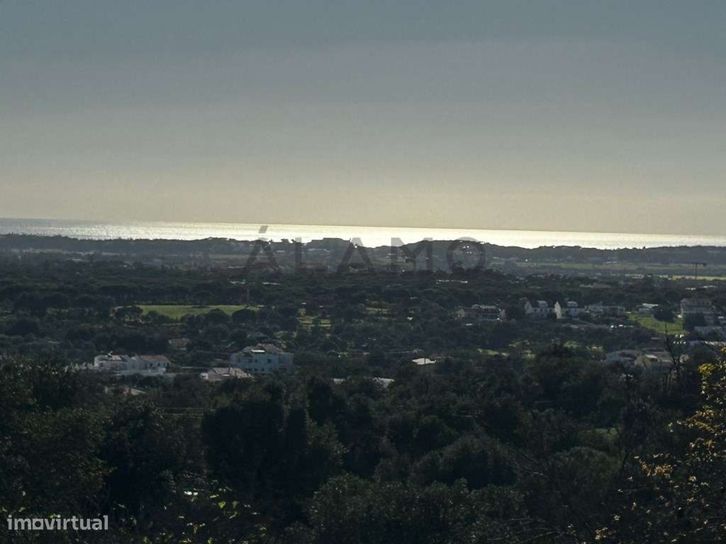 Terreno para construção de moradia com piscina - Boliqueime - Grande imagem: 3/12