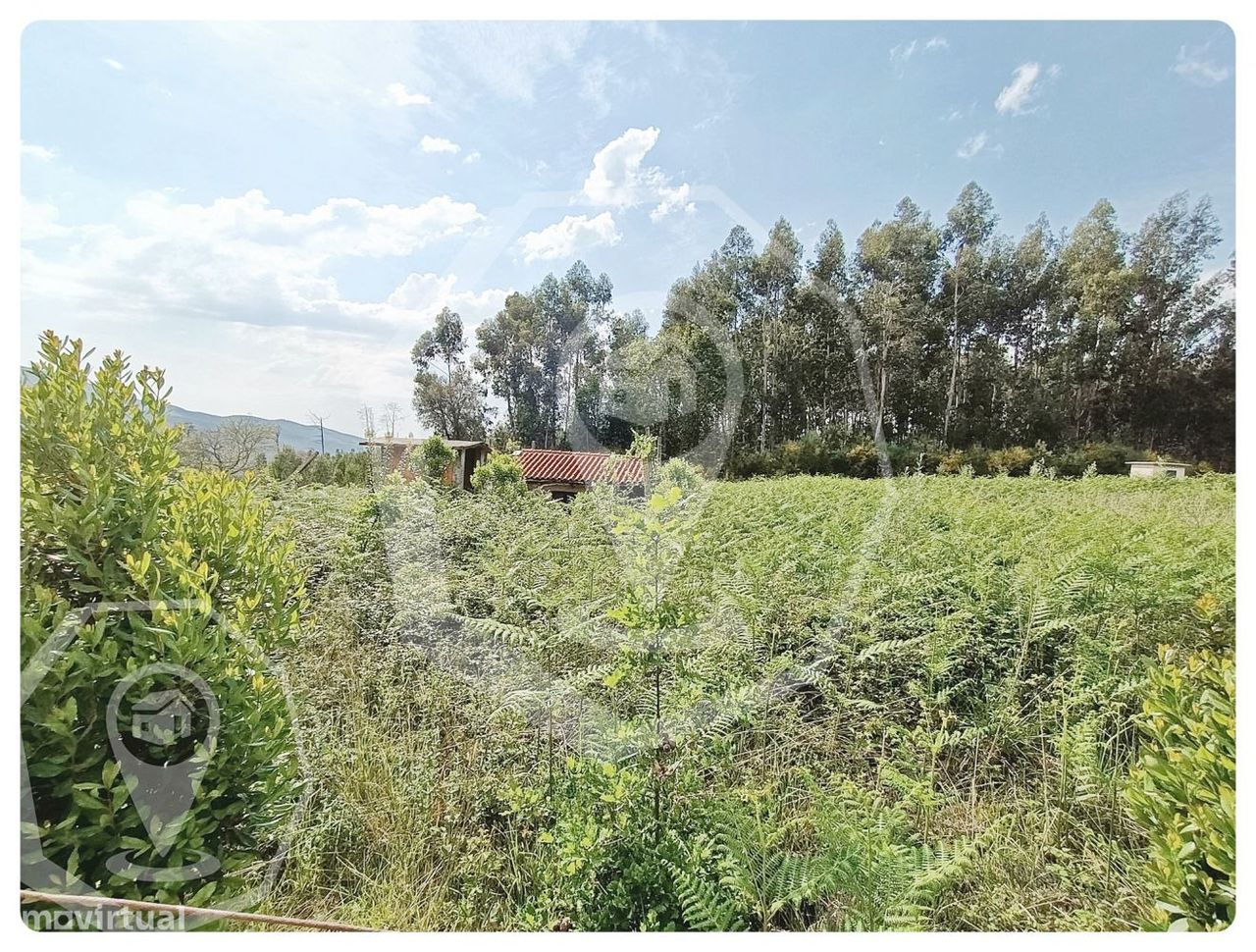 TERRENO - CAMPIA - VISEU - Grande imagem: 1/17