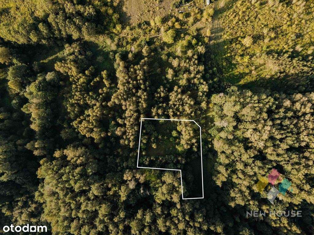 Atrakcyjna działka budowlana, Dywity, inwestycja - Pełny obrazek: 2/7