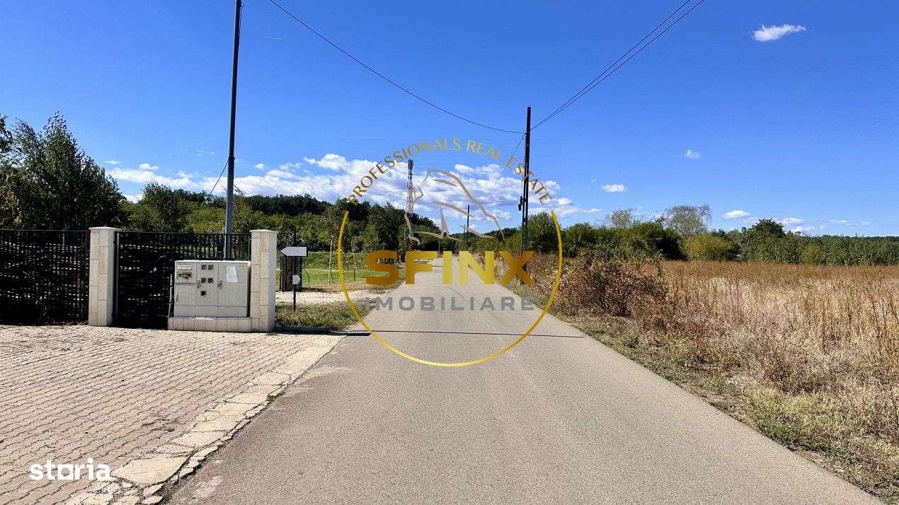 Corbeanca 5000 mp, deschidere 22 m la Drum asfaltat, padure, utilitati-4