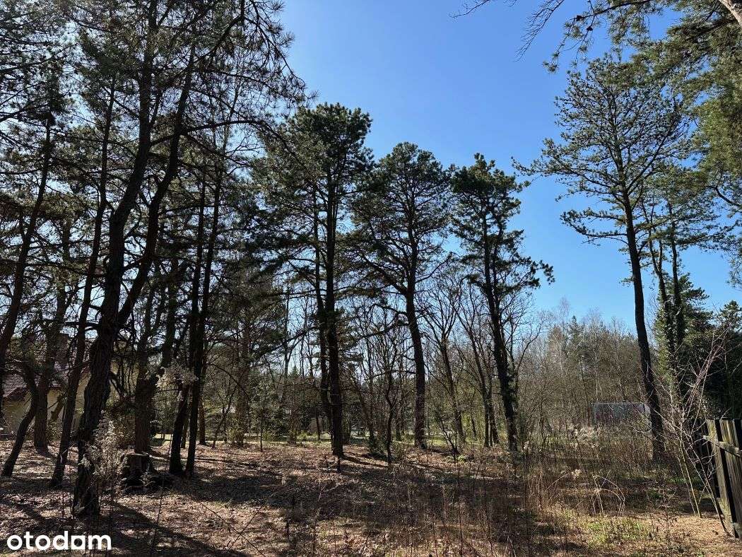 Słoneczna, cicha, prawie nad Świdrem ze wszystkimi mediami 0%-4