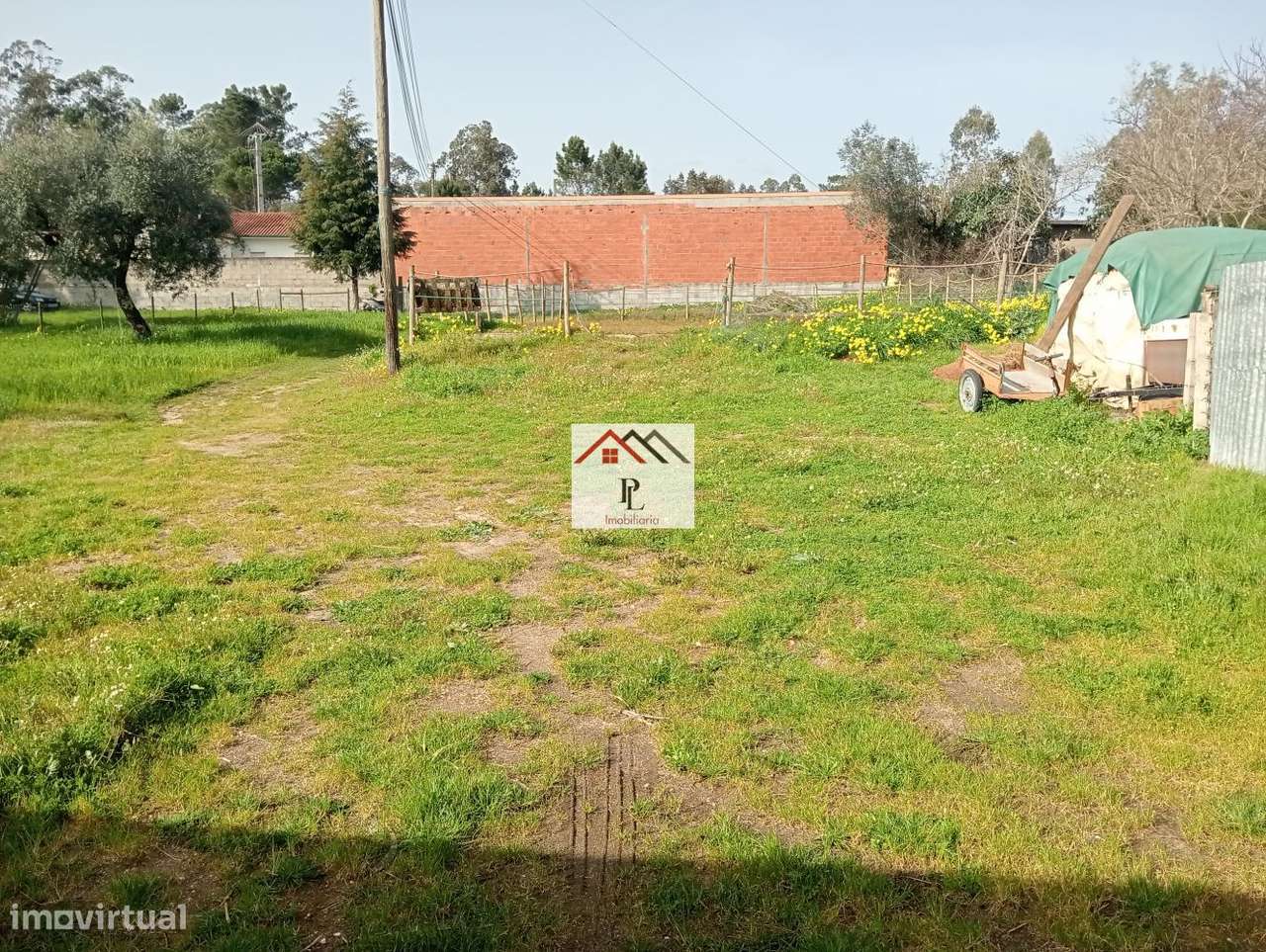 Terreno rustico em Granja de Ançã-5