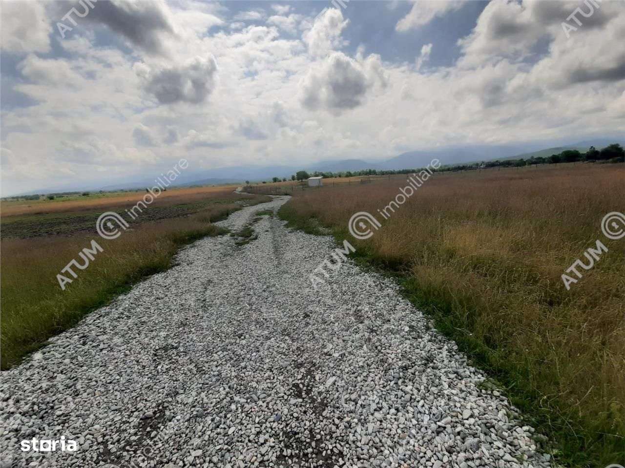 Teren Intravilan in Avrig zona Valea Avrigului 8900 metri - Imagine principală: 3/4