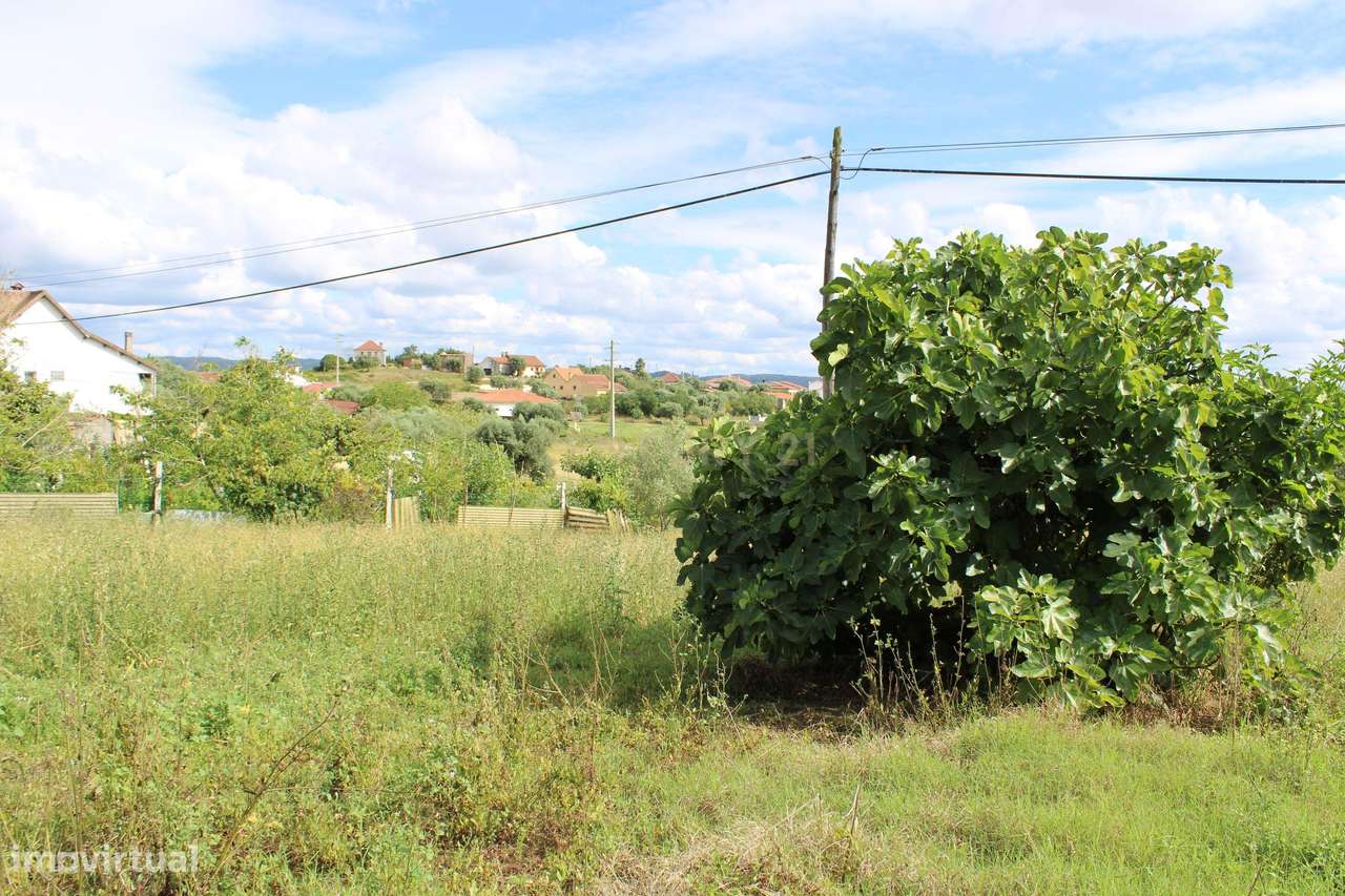 Moradia em Pedra para reabilitar. Pombal - Grande imagem: 4/26