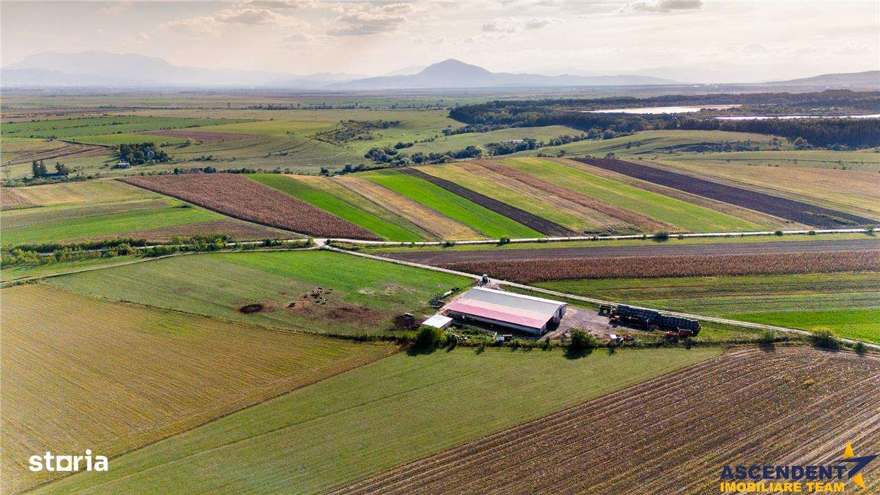 FILM! 18.000 mp,extravilan,agricol+constructii, recomandat:ferma,inves - Imagine principală: 5/15