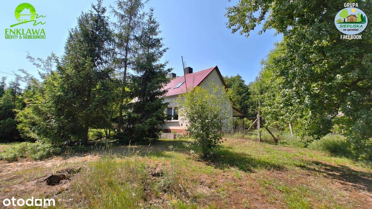 ENKLAWA prezentuje: LEŚNICZÓWKA niedaleko Krosna Odrzańskiego! CUDO!-4