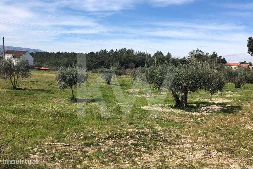 Terreno de 19.000 m2 com Projeto Aprovado 304 m2 - Grande imagem: 4/12