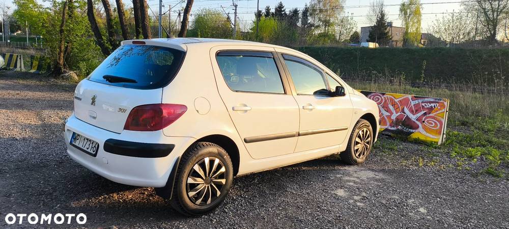 Peugeot 307 1.6 Mistral - 17