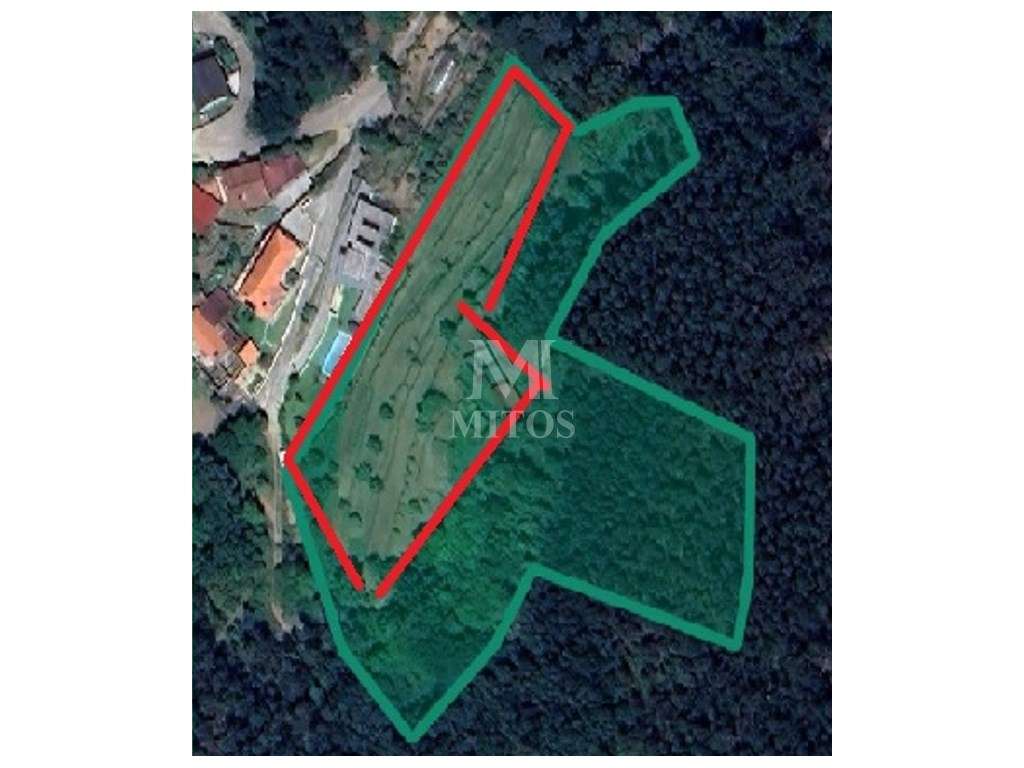 Moradia rústica por recuperar, situada no Lugar de Casais - Tregosa - Grande imagem: 2/39