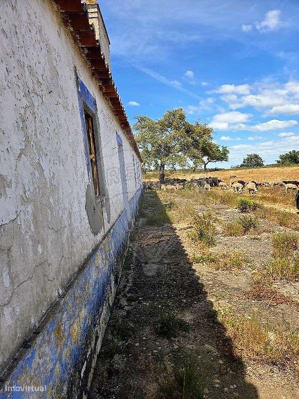 Quinta T15 para venda-4