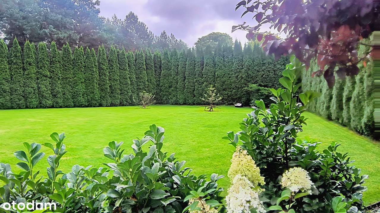 Dom  i biznes w jednym miescu.-18