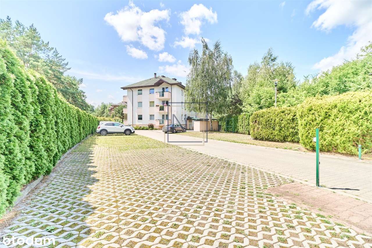 Rozkłądowe M4 z widokiem na las. Osowa Góra-13