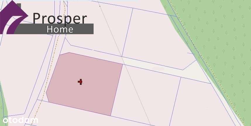 Działka 15a w malowniczym Chmielniku| Blisko las - Pełny obrazek: 4/7