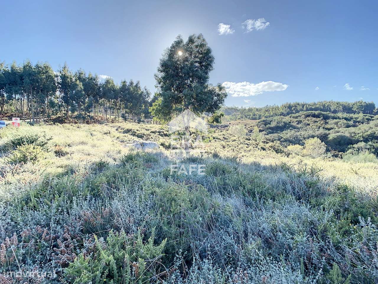 Terreno com 4.810m2 - Grande imagem: 5/10