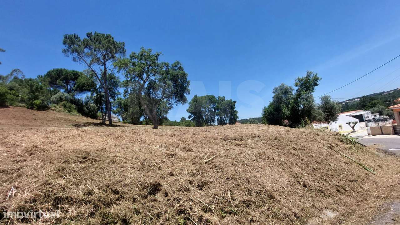 Terreno para construção de Moradias - Grande imagem: 4/4