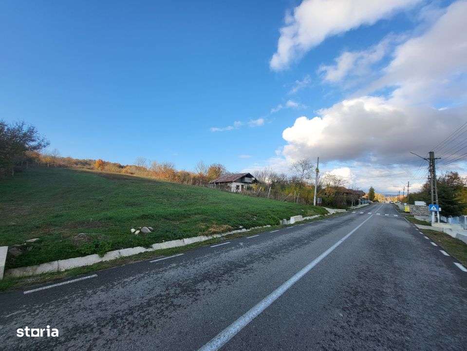 Teren 11.939 mp Balanesti – ideal rezidential/comercial-0