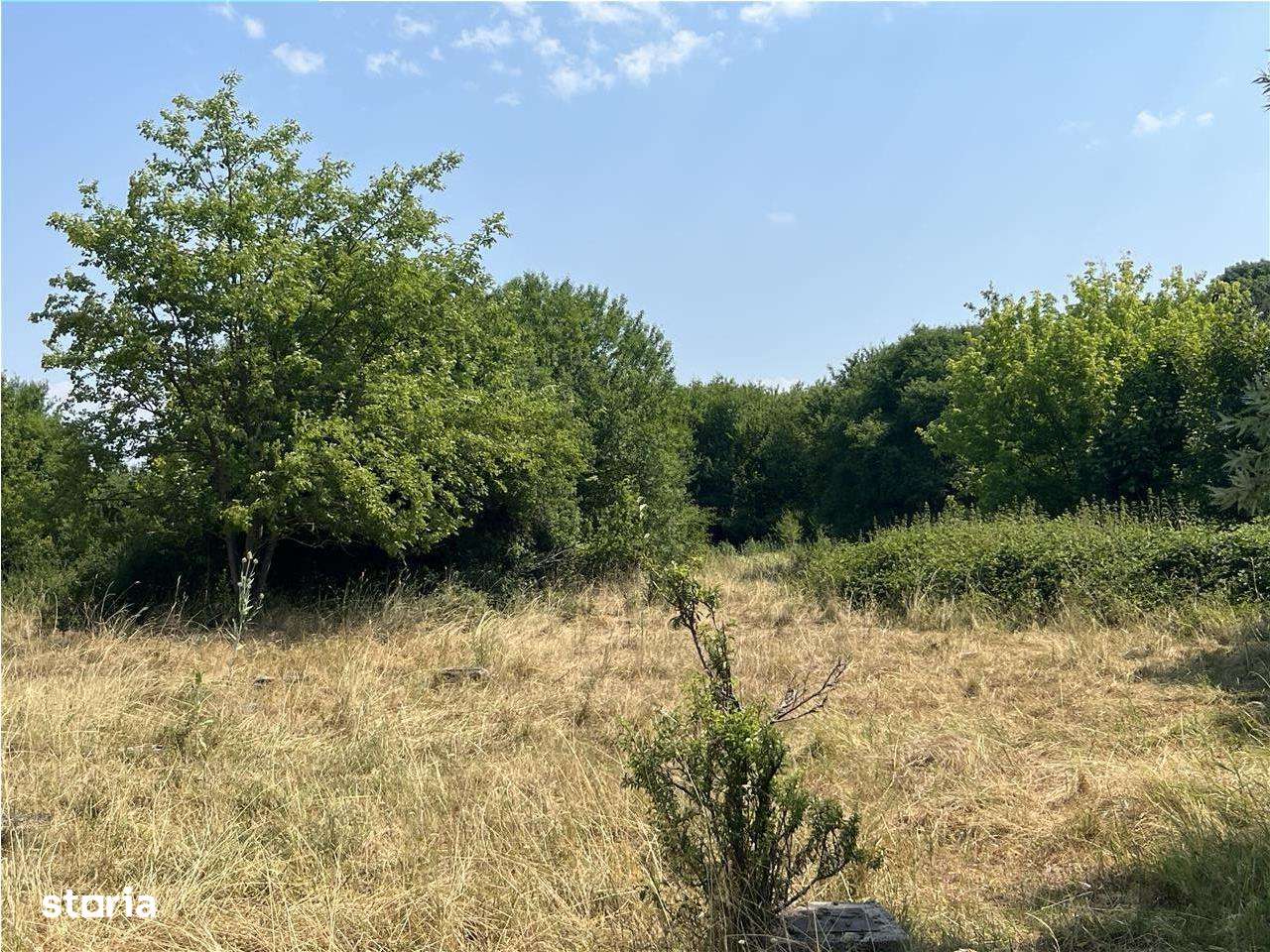 RECO Teren intravilan Tileagd 2337 mp - Imagine principală: 4/5