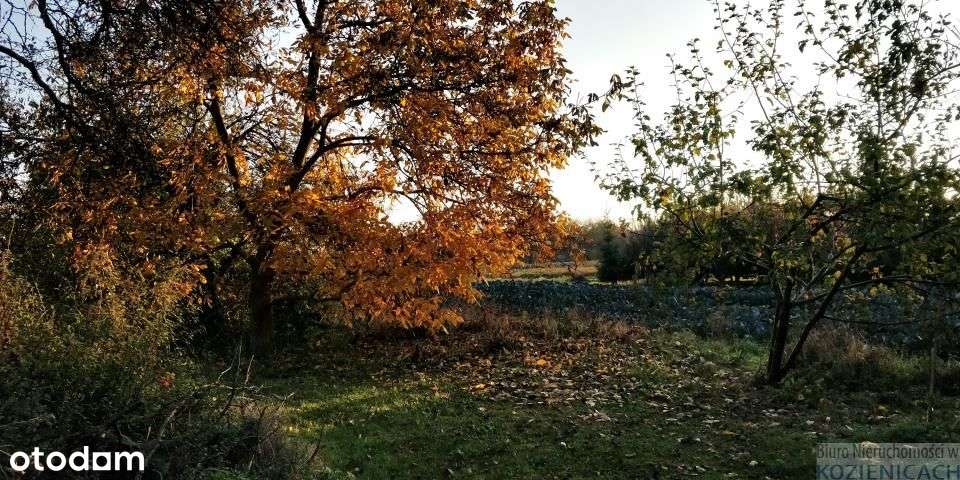 Sieciechów.Sielski dom.-14