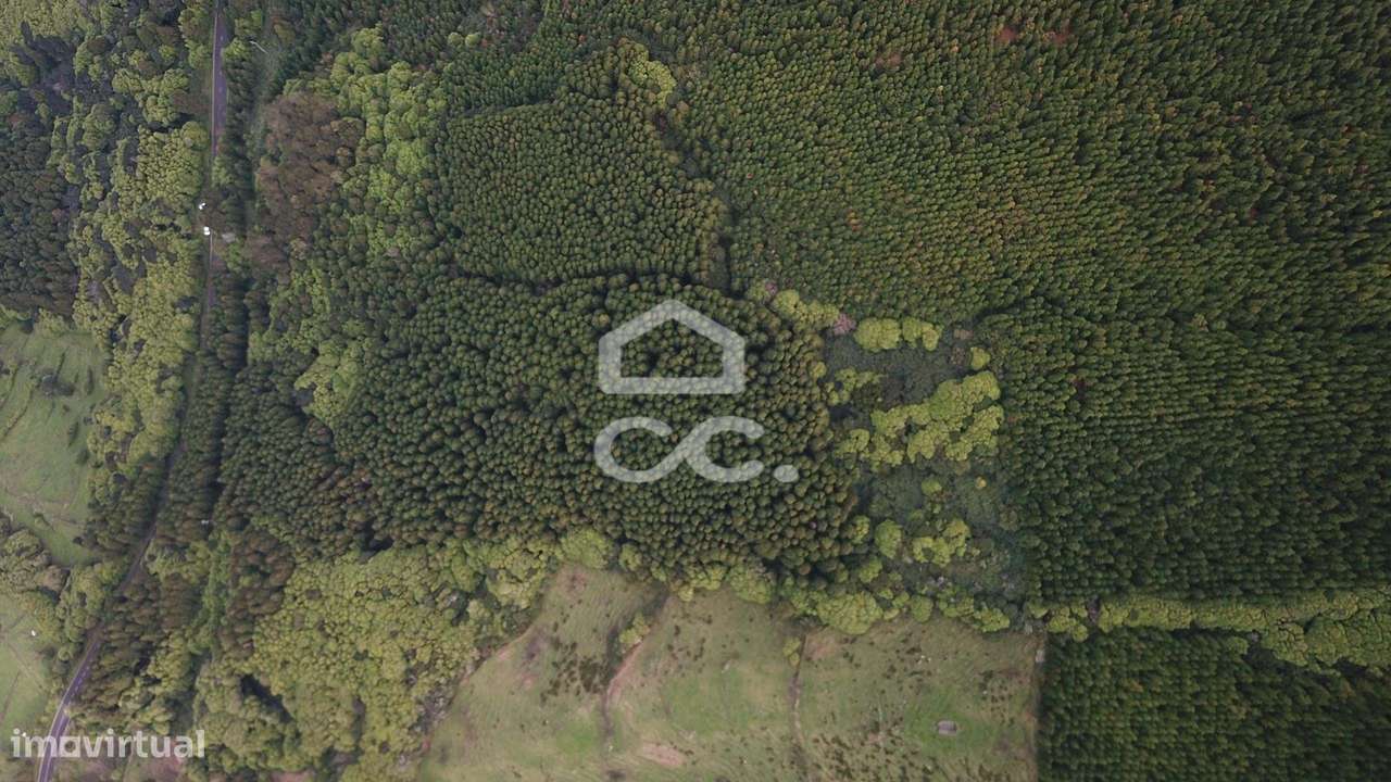 Terreno com 41.624,00 m2 - Santo Amaro - São Roque do Pico-7
