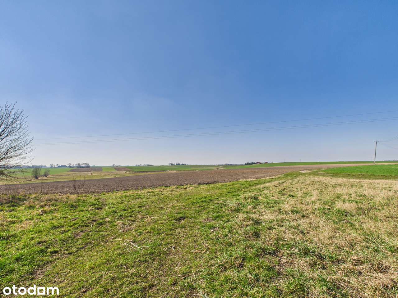 Gospodarstwo rolne-dom, budynek gospodarczy, staw i 14ha ziemi-8