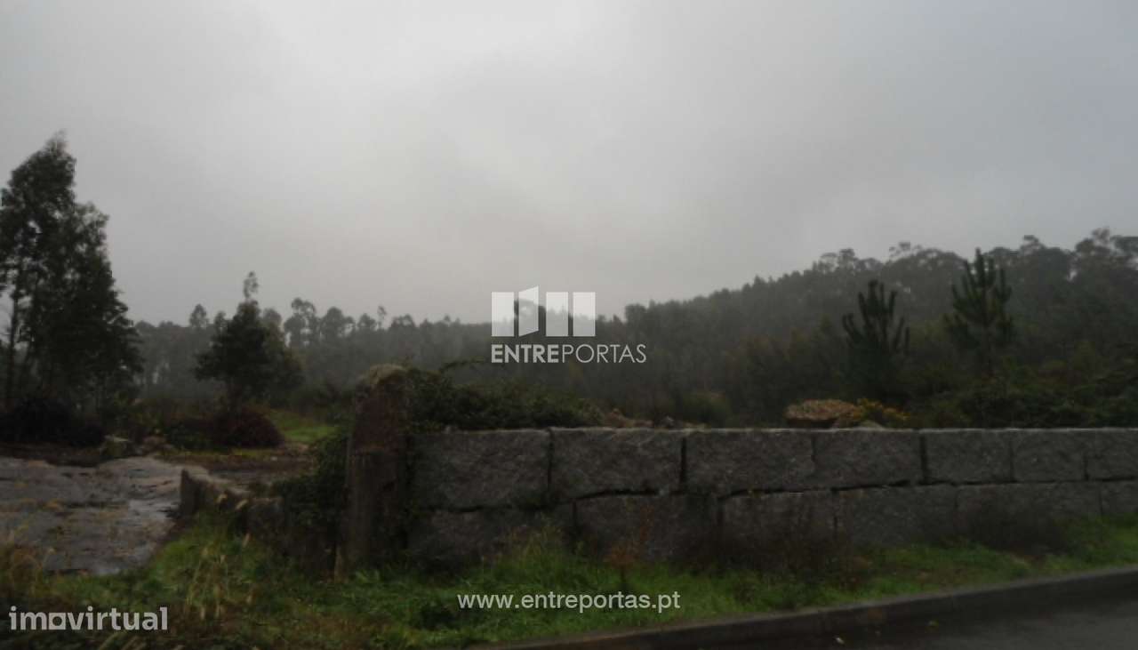 Venda Terreno, Croca, Penafiel - Grande imagem: 5/10