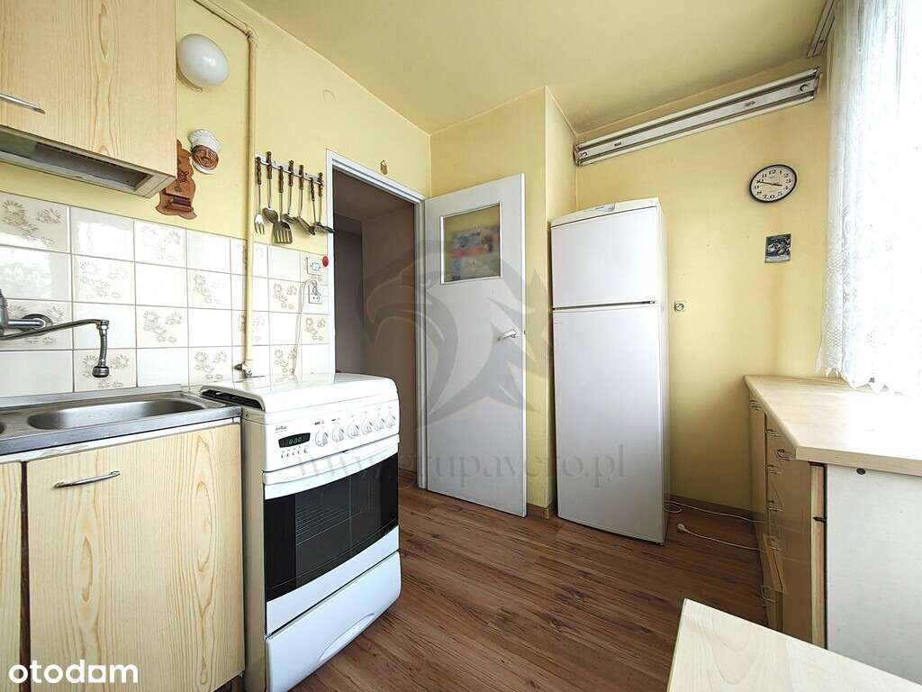 Zielono mi.... Mamy to czego szukasz...-18