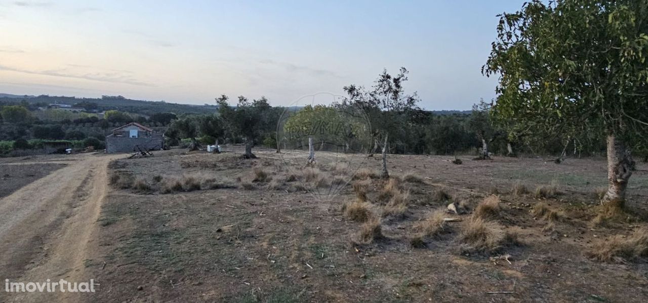 Terreno  para venda