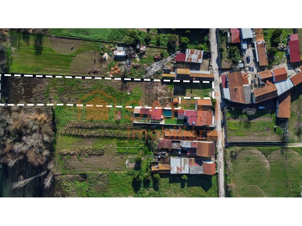 2 Lotes conjuntos Urbano e Rustico ideal pra construçao - Grande imagem: 3/3