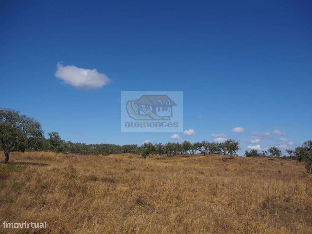 Propriedade com 31 hectares na serra de Grândola - Grande imagem: 2/8