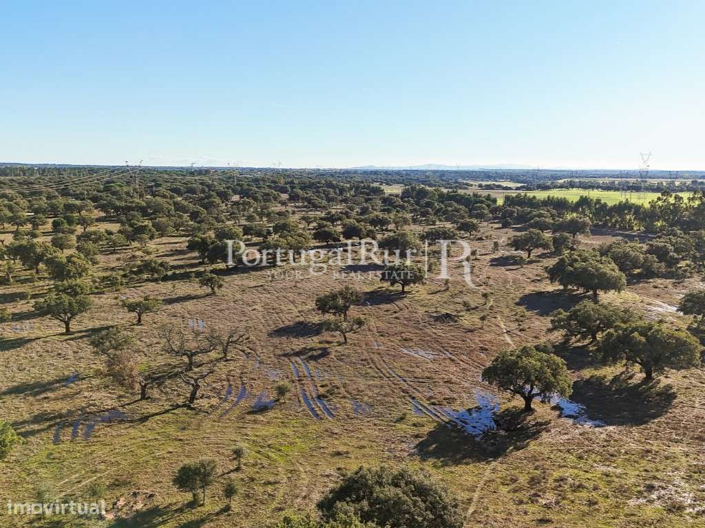 Herdade de 60 hectares para criação bovina e equina perto de Lisboa-21