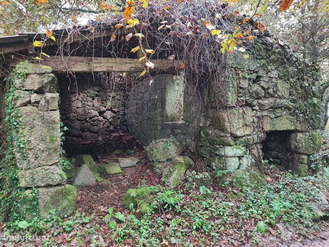 Quinta  para venda - Grande imagem: 4/13