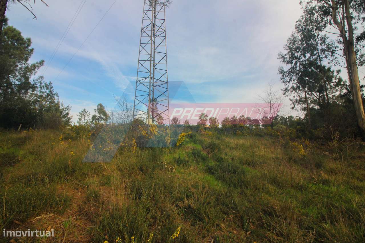 Terreno Industrial na Ucha-6