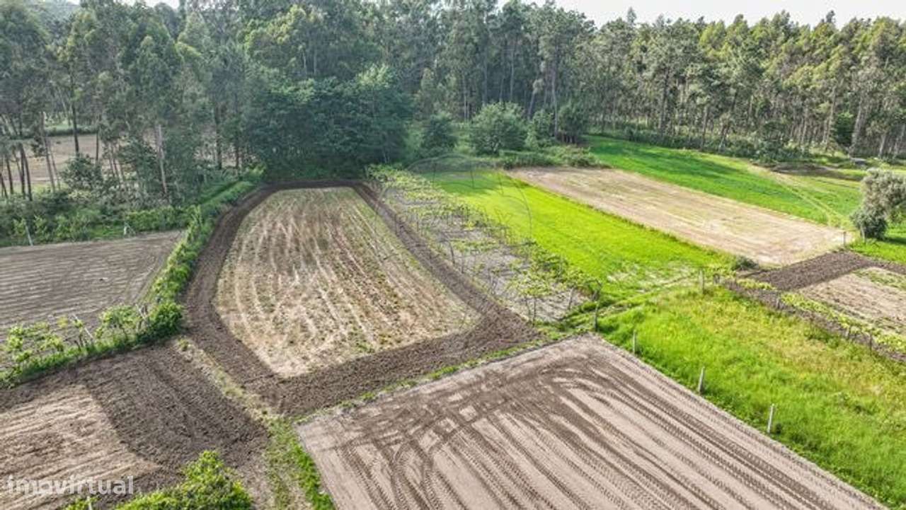 Terreno  para venda - Grande imagem: 4/6