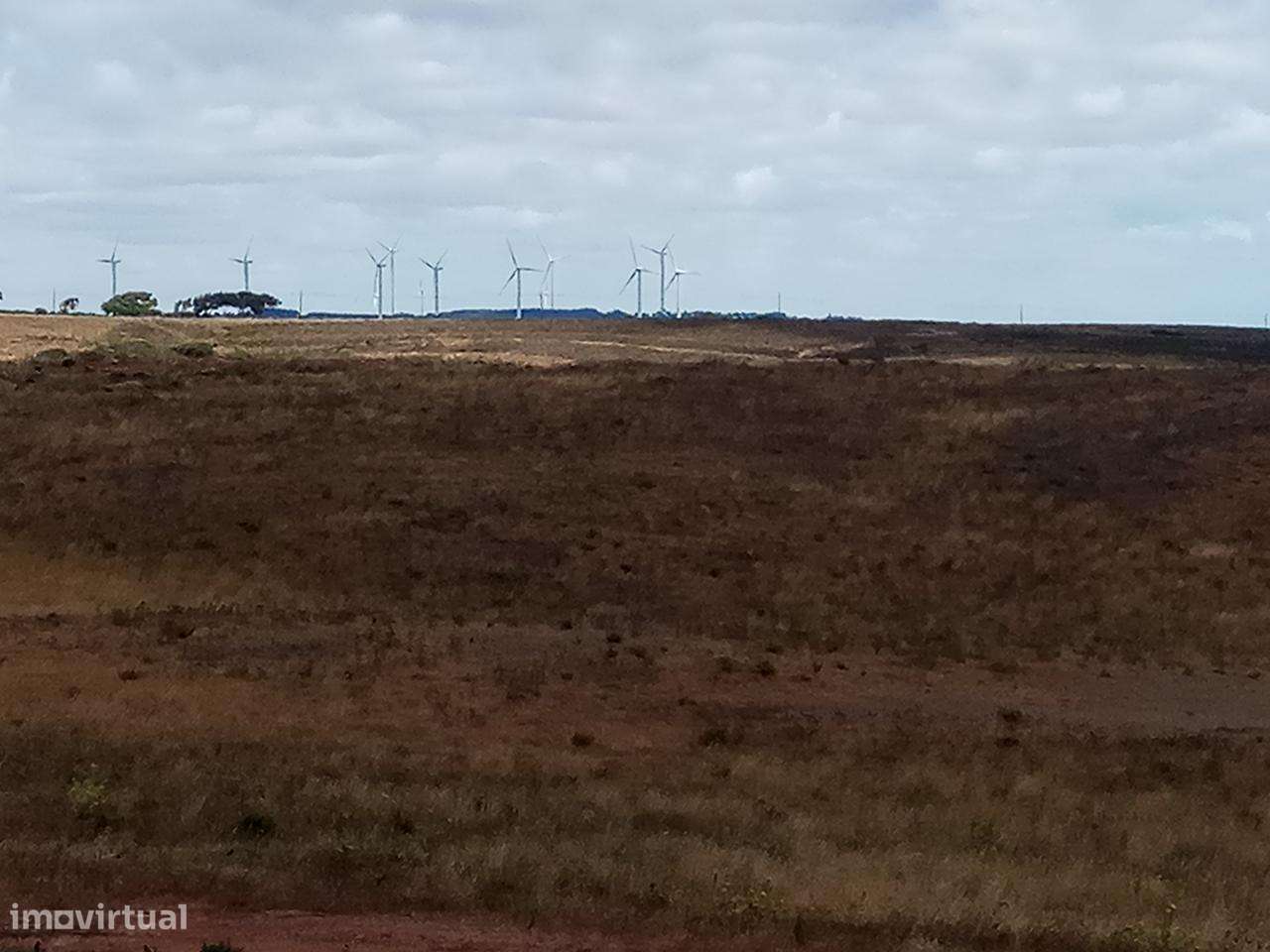 Terreno Rústico Currais Velhos - Vila do Bispo _ 664Lagos V13 - Grande imagem: 4/29