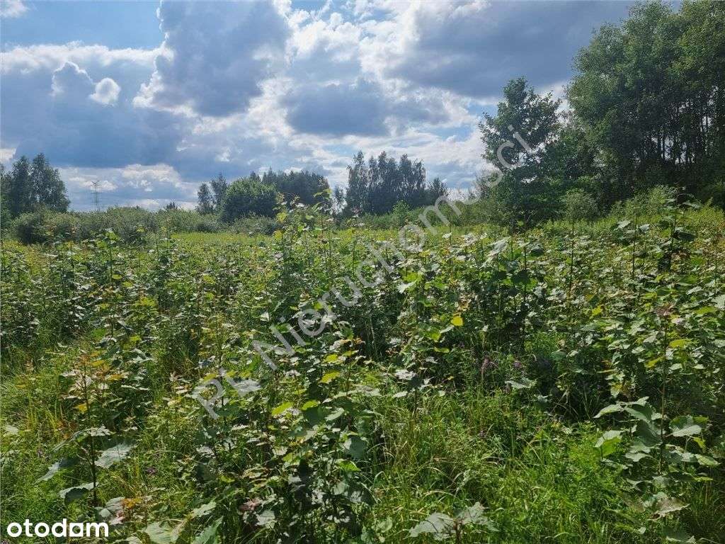 Pomysł Na Lokatę Kapitału - Działka Objęta Planem-4