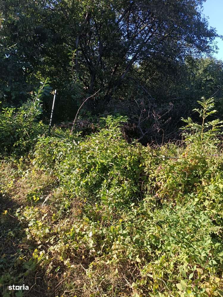 Teren de Vânzare-Rășinari-4