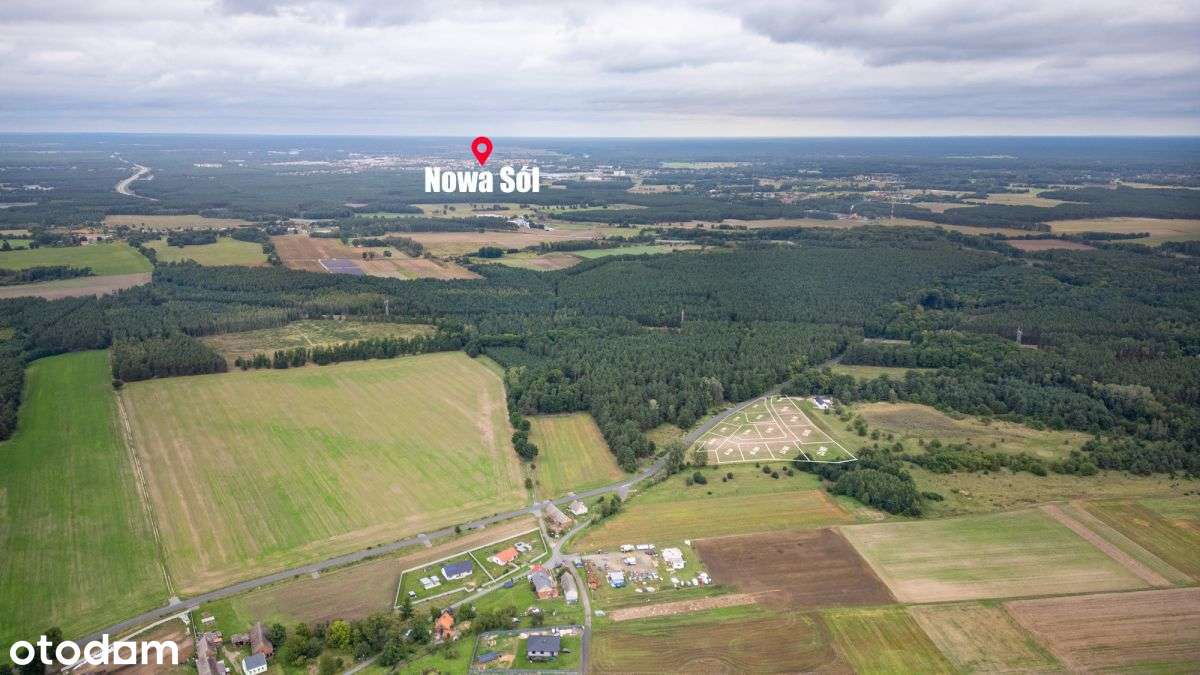 15 działek budowlanych z WZ-Drwalewice, przy lesie - Pełny obrazek: 5/10