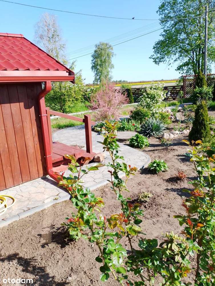 Urokliwy dom w sercu natury grunt 2,63ha - Pełny obrazek: 5/16