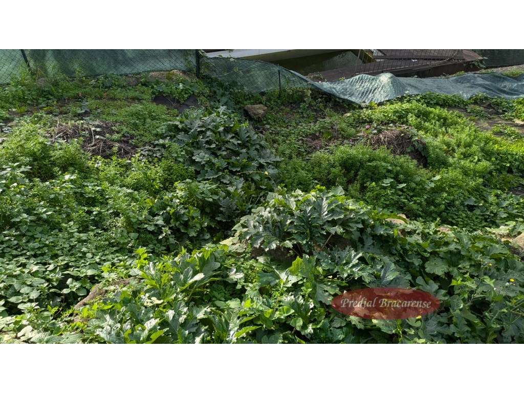 2 Prédios em S. Vicente, centro da cidade.-8