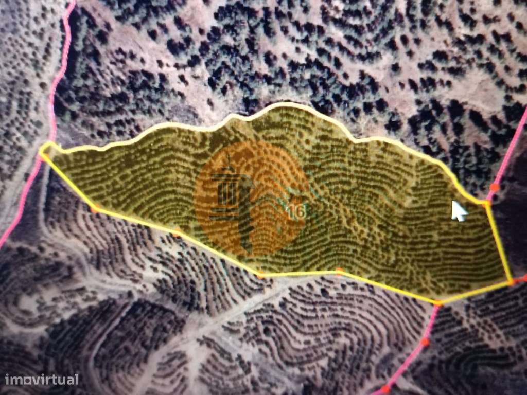 TERRENO COM 33.600 M2 - POSSIBILIDADE DE CONSTRUIR ARMAZEM - PRÓXIM... - Grande imagem: 2/33