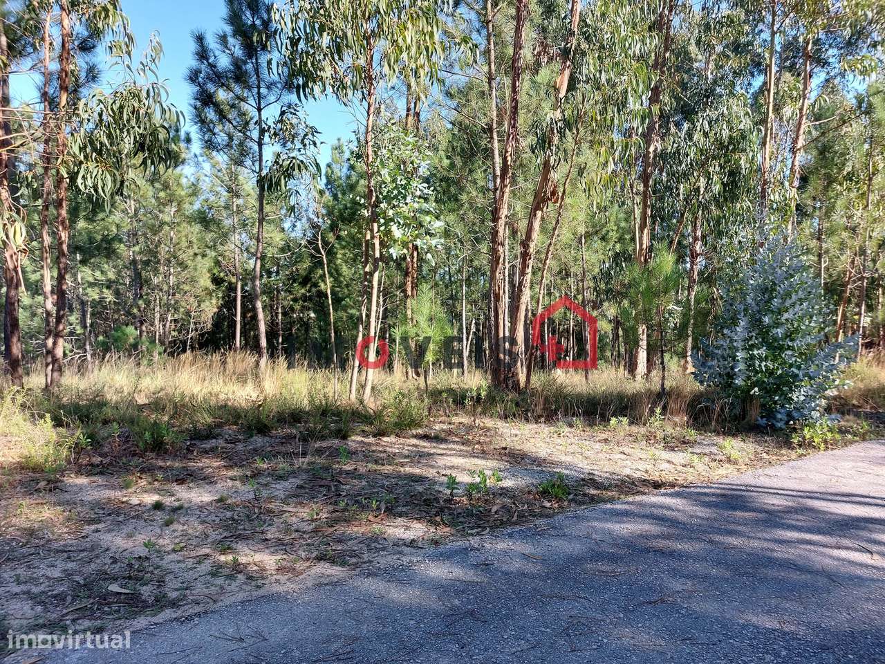 Terreno para construção - Grande imagem: 2/4
