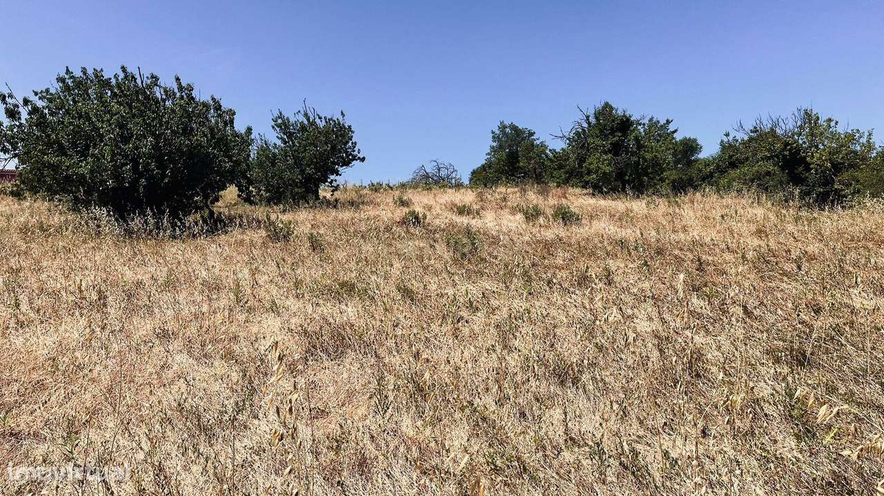 Alenquer - Terreno c/ vista para Serra do Montejunto - Grande imagem: 4/21