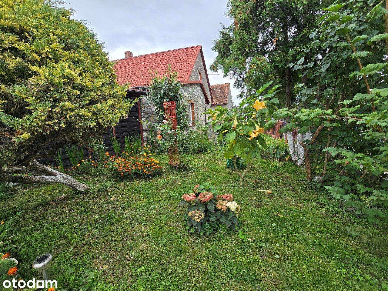 Połowa bliźniaka wraz z działającym biznesem-1