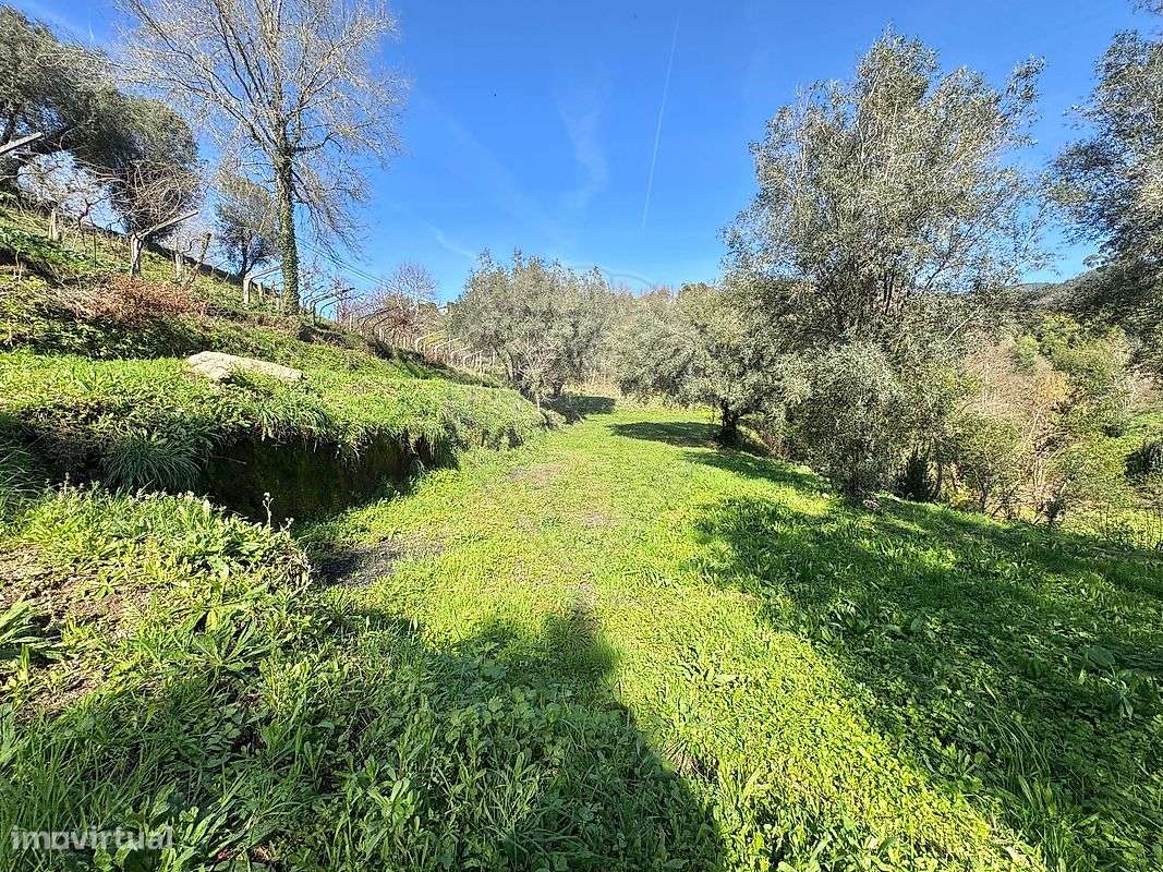 Terreno  para venda-8